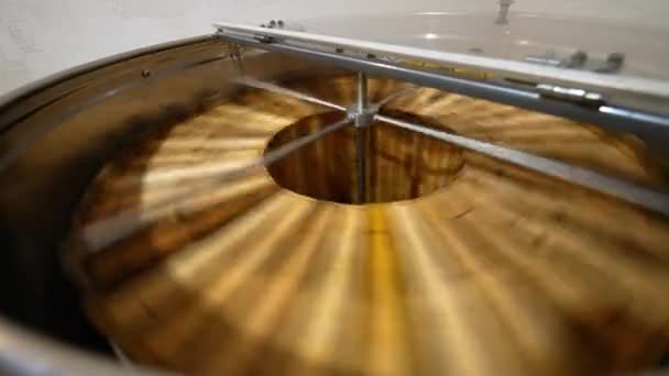 Bal Temizleme Makinesi Çerçeveleri Organik Balla Çeviriyor Kırsal Arı Çiftliğinde — Stok video