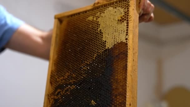 准备蜂蜜框架在机器中提取蜂蜜 雄的手打开蜂窝上的顶盖 取出蜂窝上的蜂蜜 — 图库视频影像