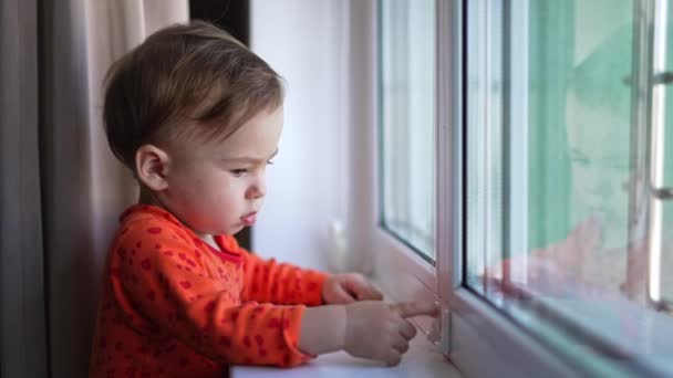 Criança Curiosa Camisa Laranja Tocando Detalhe Moldura Janela Com Dedo — Vídeo de Stock