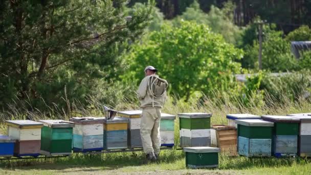 Αρσενικό Μελισσοκόμος Στέκεται Κοντά Στις Κυψέλες Στη Φάρμα Μελισσών Ένα — Αρχείο Βίντεο