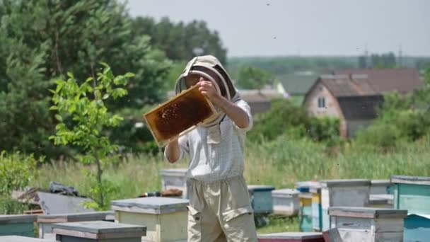 Volwassen Apiculturist Werkt Zijn Bijenboerderij Zonnige Zomerdag Man Neemt Een — Stockvideo