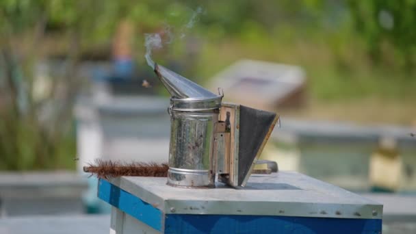 白い煙が付いている金属の喫煙者および蜂蜜のブラシ 農業の仕事のための器械そして用具 ブラーレッド バックドロップ — ストック動画