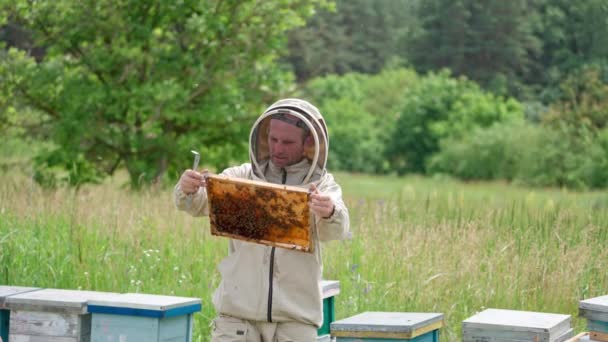 Pszczelarz Masce Ochronnej Badający Ramę Pokrytą Pszczołami Pszczelarz Pracujący Wiejskiej — Wideo stockowe