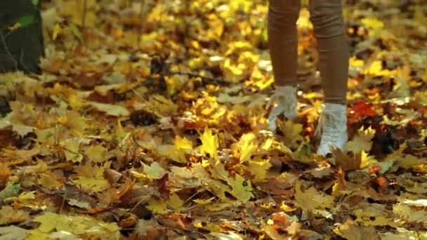 Жіночі Ноги Бежевих Легінсах Білих Чоботях Роблять Кроки Жовтим Листям — стокове відео