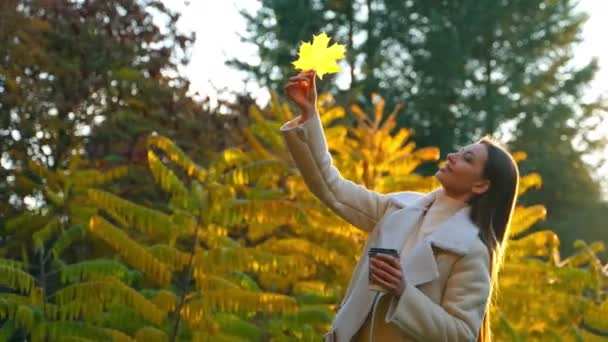 어두운 여자는 그녀의 노란색 단풍잎을 공원에서 화창한 — 비디오