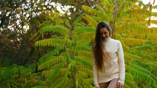 Молода Жінка Позує Перед Зеленим Жовтим Кущем Пані Білому Светрі — стокове відео