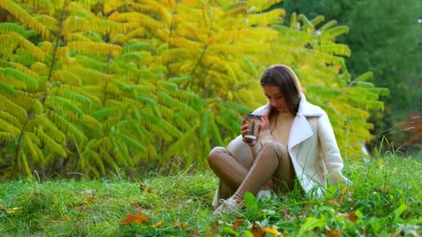 穏やかな平和な白人女性は紙コップからコーヒーを飲んでいます 美しい秋の公園の草の上に座っているブルネットの女性 — ストック動画
