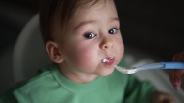 Yoğurtlu kaşık tatlı bir bebeğe verilir. Bebek süt ürünleri yiyor ve kameraya dikkatlice bakıyor. Yüksek açı. Bulanık arkaplan.