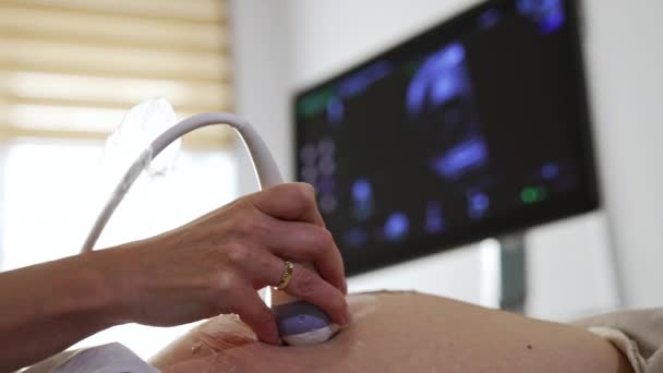 Ultrazvuková Diagnostika Pro Těhotnou Ženu Doktor Přesouvá Snímač Pacientově Břiše — Stock video