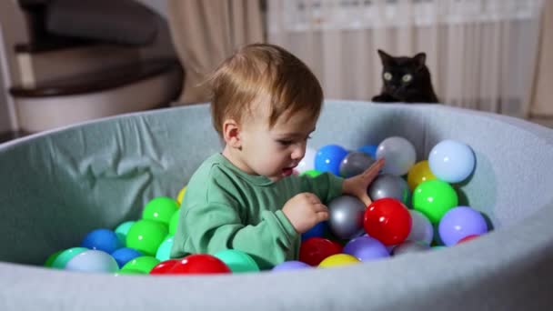 Schöne Kleine Junge Sitzt Becken Mit Hellen Bunten Plastikbällen Glückliches — Stockvideo