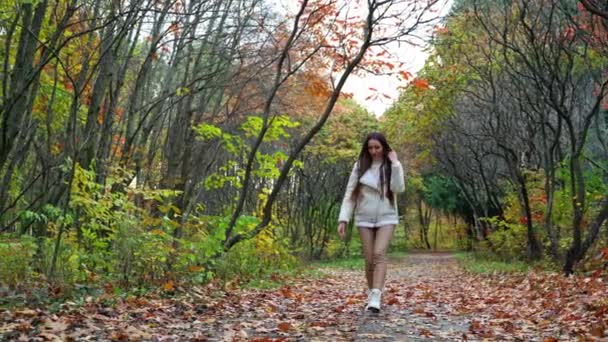 Прекрасний Красивий Парк Осінній Сезон Дівчиною Йде Поруч Дама Піднімає — стокове відео