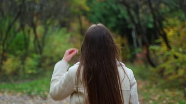 Widok Tyłu Brunetka Dziewczyna Spaceru Przez Park Jesienią Pani Odwraca — Wideo stockowe