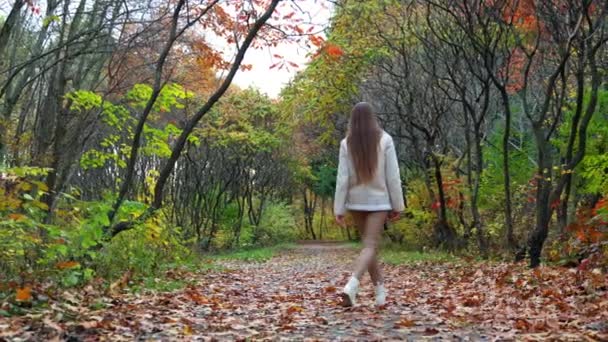 Dlouhovlasou Dívkou Pomalu Kráčející Nádherné Přírodě Bruneta Dáma Bílém Saku — Stock video