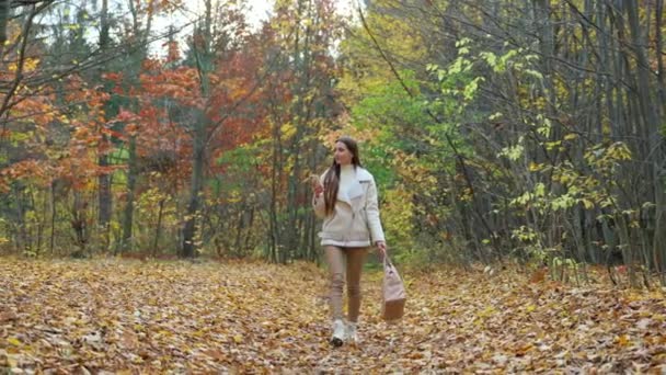彼女の手の中にあるバッグと電話を持つ魅力的なロマンチックな少女が公園を歩いています 秋の自然の中で過ごす穏やかで平和な時間 — ストック動画