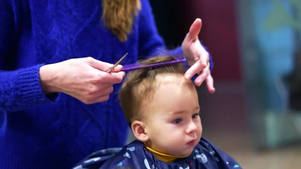 バーバーは小さな子供の髪を組み合わせて切断片を取り除きます 優しい赤ん坊は平和的に彼の目の前に何かと忙しく座っています ブラーレッド バックドロップ — ストック動画