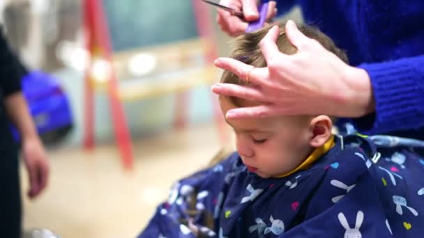 小さな甘い赤ん坊のためのヘアカットをする 床屋が髪を切っている間 静かに座っている素敵な子供 ブラーレッド バックドロップ — ストック動画