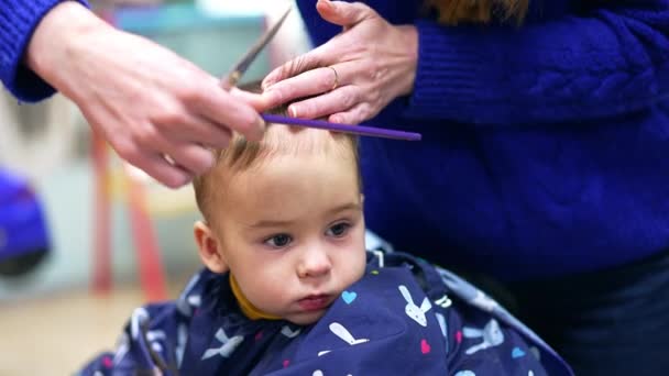 Hairdresser Blue Sweater Cuts Hair Cute Little Toddler Adorable Child — Stock Video