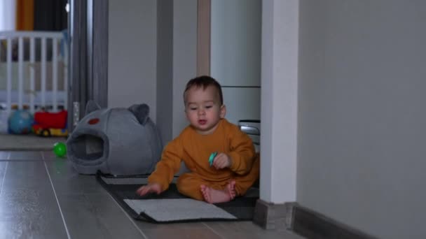 Adorable Petit Garçon Rampant Par Terre Maison Curieux Enfant Tient — Video