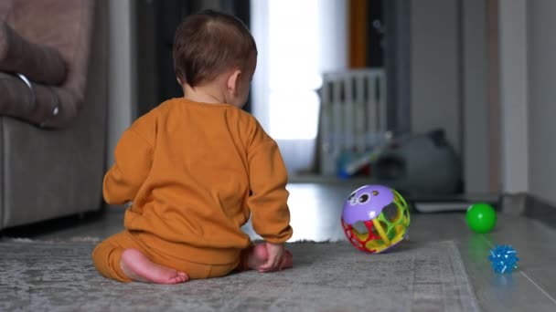 床に座っている甘い子供は ボールを押してロールを見ています 部屋で玩具で遊んでいる素敵な小さな子供 ブラーレッド バックドロップ — ストック動画