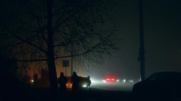 輸送ヘッドライトの光の中で大きな裸の木のダークシルエット 発電所攻撃後のウクライナの都市でのブラックアウト時間 — ストック動画