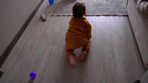 活泼的小孩很快地爬到地板上 在房子里转来转去有一年了 从上面看 — 图库视频影像