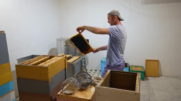 Ενηλίκων Μελισσοκόμος Παίρνει Πλαίσια Από Ξύλινο Κουτί Και Τοποθετεί Στο — Αρχείο Βίντεο