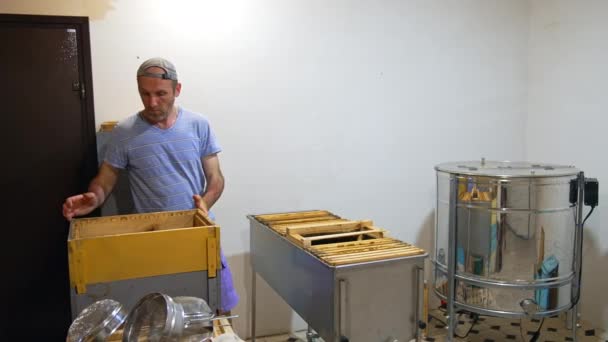 アダルトの男性養蜂家は 彼の養蜂家の敷地内で働いています 人間は木枠で蜂の巣の部分を分解する — ストック動画