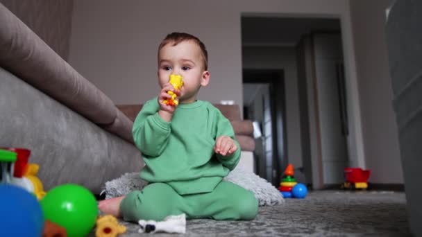 Yerde Oturup Oyuncaklarla Oynayan Sevimli Bir Bebek Bebek Oyuncağı Çiğniyor — Stok video
