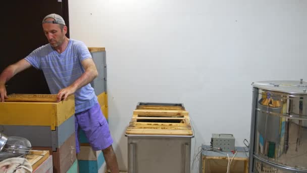 大人の男は ハイブから大きな箱にフレームを取ります 蜂蜜抽出のためのフレームを準備する養蜂家 — ストック動画