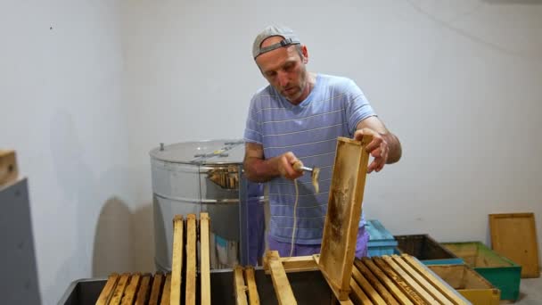 Πιαρίστας Ανοίγει Κελιά Του Καρέ Γεμάτα Μέλι Μέλισσα Γεωργός Προετοιμασία — Αρχείο Βίντεο