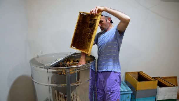 ハチミツのフレームは 農家によって抽出機から取り除かれた ペーストは木箱にフレームを置きます — ストック動画