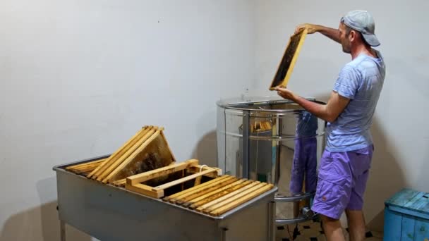 蜂蜜抽出後のフレームは遠心分離機から除去されます 養蜂場で蜂蜜の収穫を拾う男性の養蜂家 — ストック動画