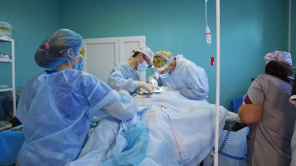 Equipo Cirujanos Dos Doctores Operando Paciente Sala Cirugía Simple Enfermera — Vídeo de stock