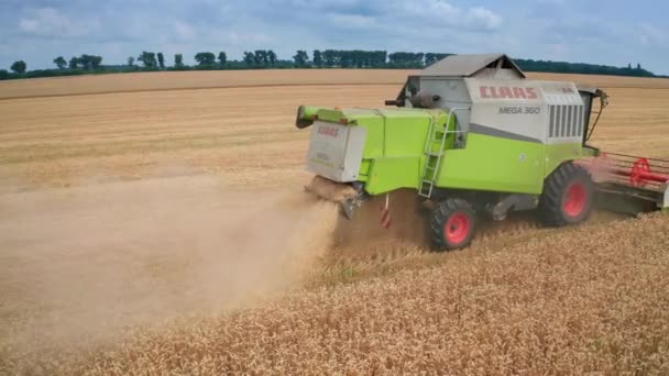 Récolte Machines Sur Terrain Agricole Grande Combiner Cueillette Plantes Jaunes — Video