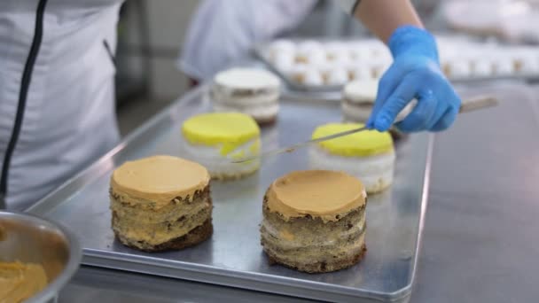 Fazer Bolos Doces Sobremesas Bolo Cozinha Creme — Vídeo de Stock