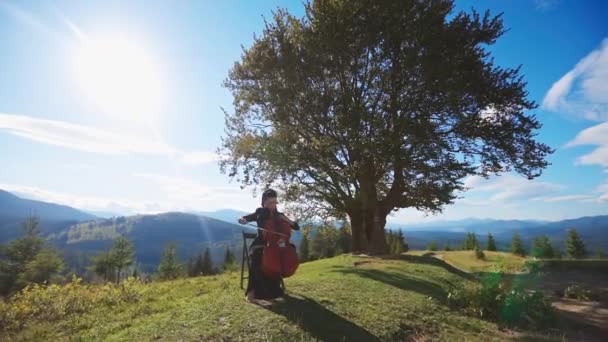 Jonge Mooie Vioolspeler Perfomance Mooie Vrouw Speelt Cello Landschappen — Stockvideo