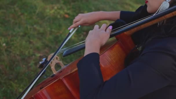 Jovem Violinista Bonito Tocando Natureza Perfomance Músico Toca Violoncelo — Vídeo de Stock