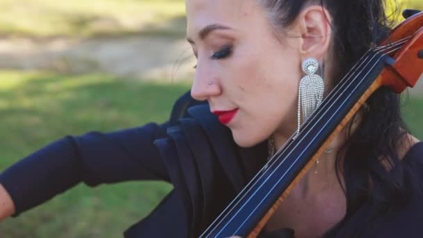 Профессиональный Виолончелист Природным Пейзажам Молодая Женщина Играет Струнном Инструменте — стоковое видео