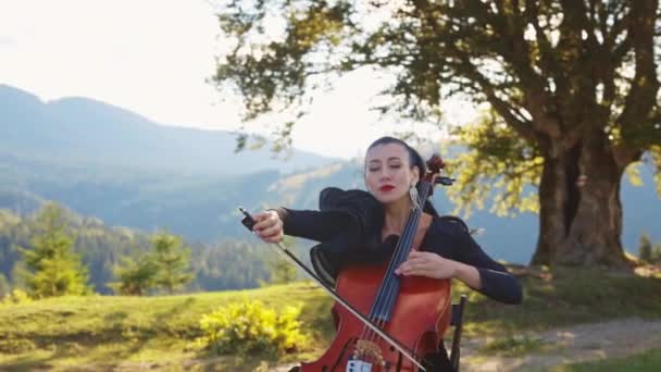 漂亮的女士在大提琴上演奏 大提琴在户外的音乐表演 — 图库视频影像
