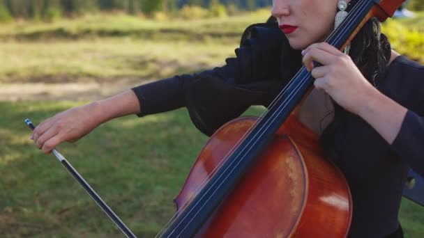 Mooie Vrouw Die Speelt Natuurlandschappen Muzikale Perfomantie Van Cello Spelen — Stockvideo