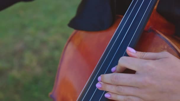 Musikalisk Perfomance Att Spela Cello Vacker Kvinna Som Leker Naturen — Stockvideo