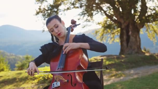 Vacker Dam Som Leker Cello Naturlandskap Sommar Instrumental Perfomance Kvinna — Stockvideo