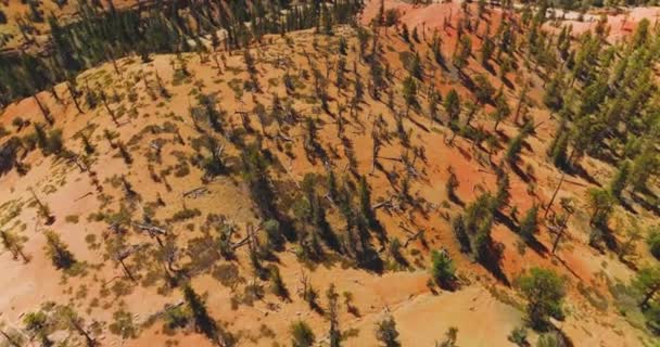 Έρημος Φυσικά Τοπία Αμμόλοφους Όμορφη Αμερικανική Τοπία Εναέρια Άποψη — Αρχείο Βίντεο