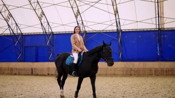 Rijdend Rug Van Een Paard Paardrijden Leren — Stockvideo