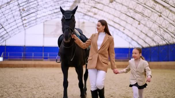 Imparare Equitazione Sportiva Cavalcando Cavallo — Video Stock