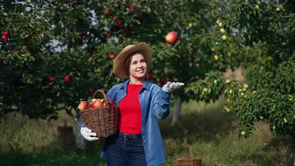 Krásná Paní Farmářka Jablečné Zahradě Čerstvé Zralé Sezónní Sklizeň Ovoce — Stock video