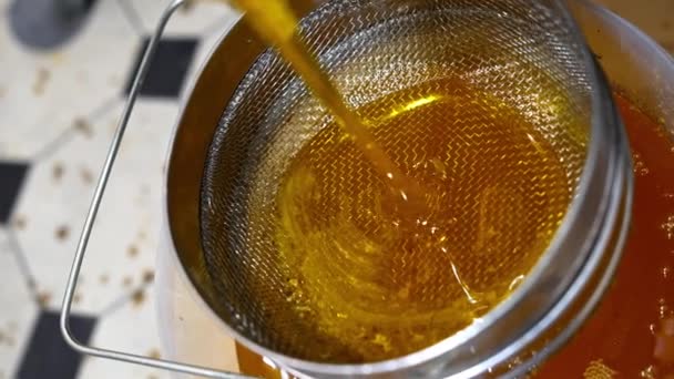 Mesin Peternakan Lebah Untuk Lebah Peralatan Pertanian Madu — Stok Video