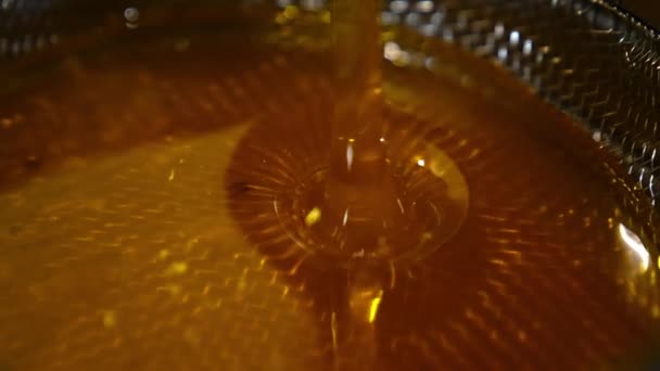 Gezond Biologisch Voedsel Druipt Macro Shot Zoete Gouden Honing Gieten — Stockvideo