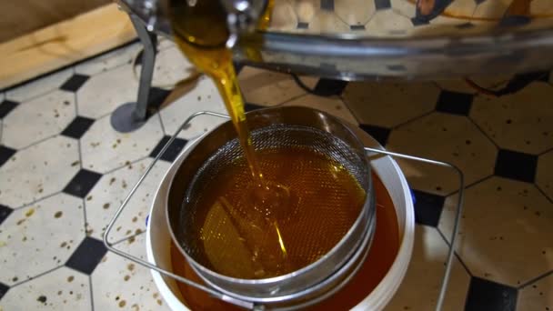 Natural Organic Honey Apiary Farming Sweet Honey Harvesting Machine — Stock Video