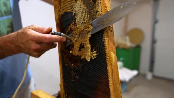 Wachsernte Bienenstock Aus Holz Bienenwachs Bienenhonig — Stockvideo